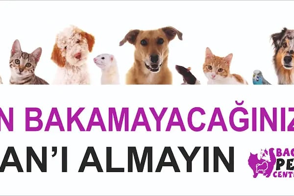 Bage Pet Center - Resim 9