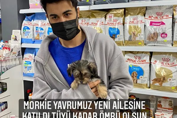 Bage Pet Center - Resim 20