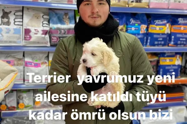 Bage Pet Center - Resim 17