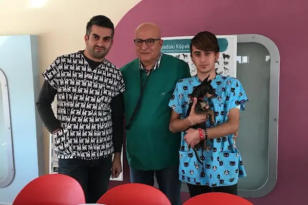 AKADEMİ VETERİNER KLİNİĞİ - Resim 18