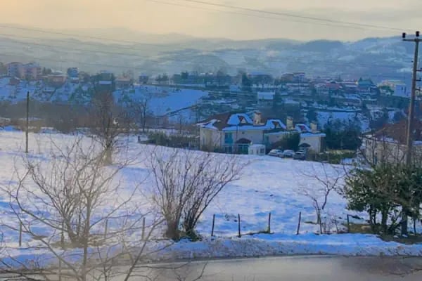 Begonvilla Teras - Resim 7