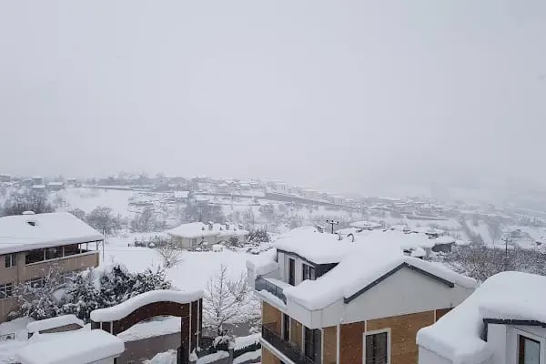 Begonvilla Teras - Resim 2