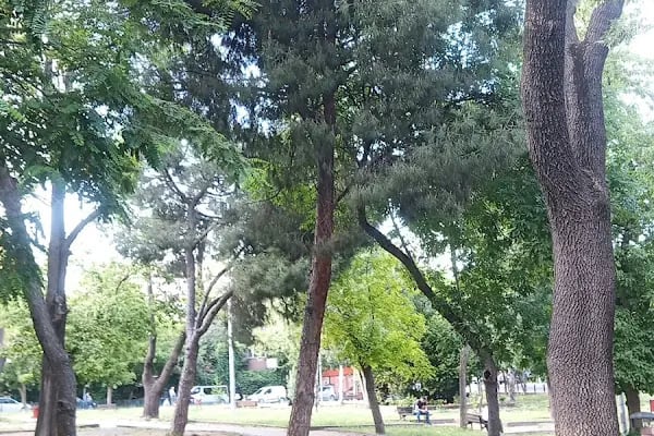 75. Yıl Parkı - Resim 2