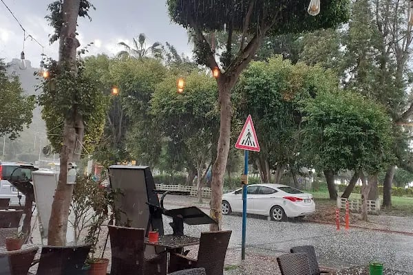 Istanbul Cafe Restaurant - Resim 15