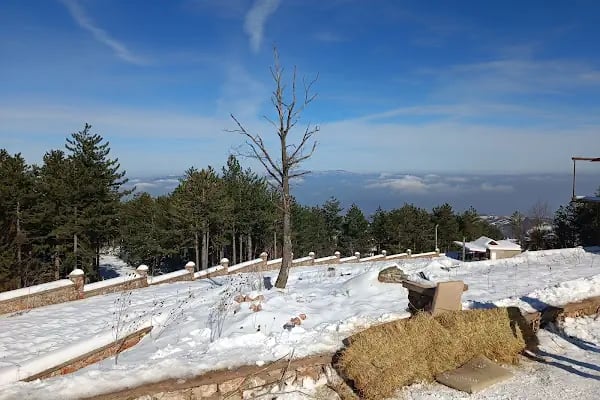 Alaçam Sefa Tepesi Et Mangal Alabalık ve Kahvaltı - Resim 6