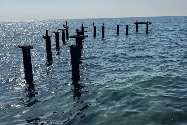 Ambarlı Akçansa Limanı - Resim 7