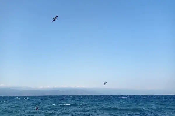 BUDO (Bursa Deniz Otobüsleri) Eminönü İskelesi - Resim 17