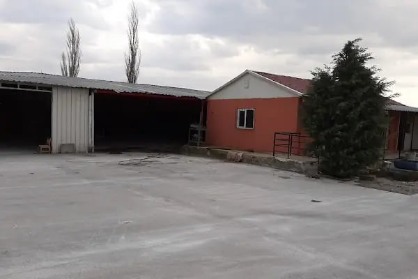 Balıkesir Anadolu Palet - Resim 6