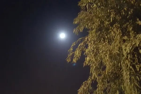 Çocuk Parki Ve Yeşil Alan - Resim 8