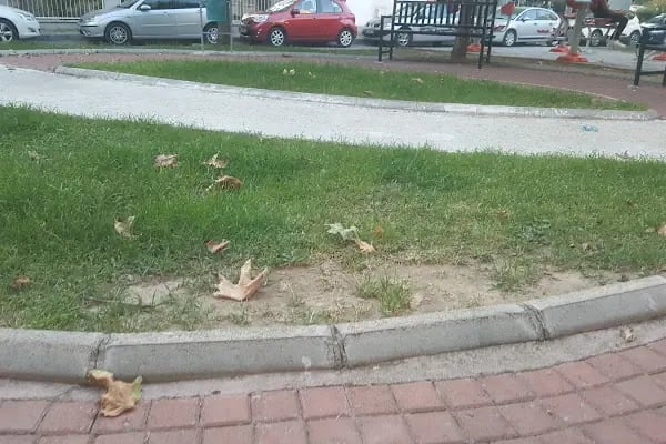 Çocuk Parki Ve Yeşil Alan - Resim 5