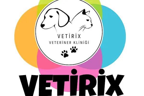 Vetirix Veteriner Kliniği - Resim 4