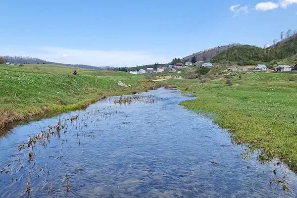 Acelle Yayla Göleti - Resim 15