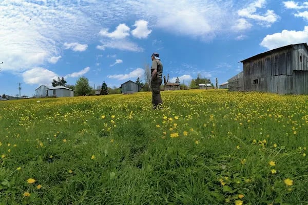Acelle Yayla Göleti - Resim 19