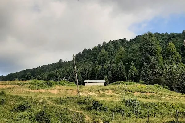 Acelle Yayla Göleti - Resim 16