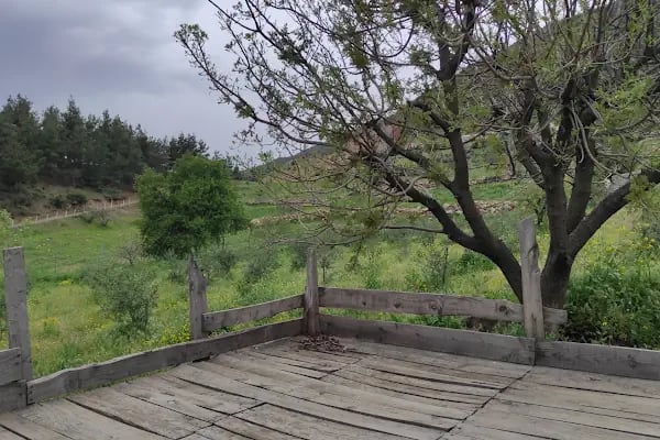 Ağabey Köyü Muhtarlığı - Resim 4
