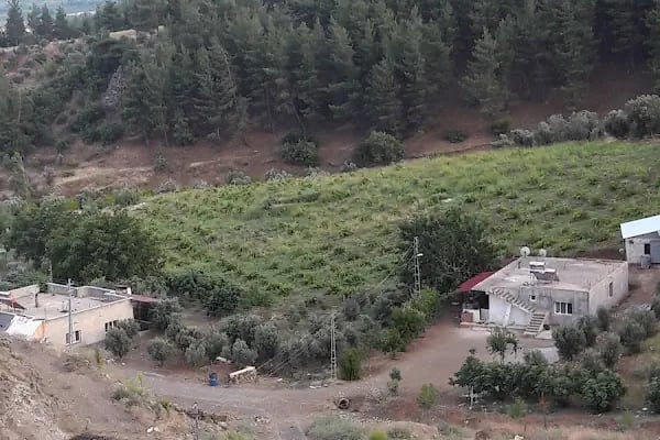 Ağabey Köyü Muhtarlığı - Resim 19