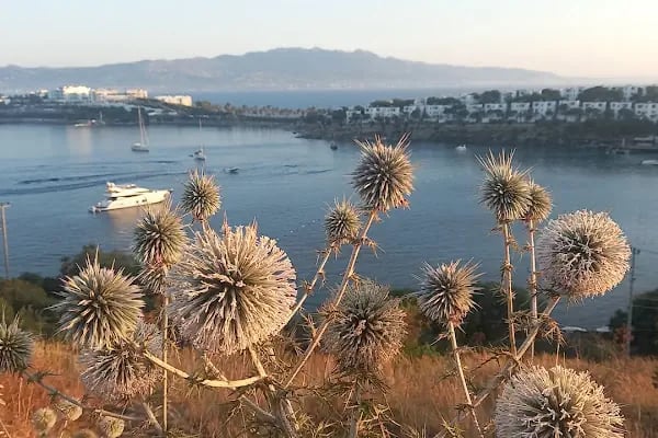 Akyarlar Hacı Mahmut Tınaz Tepe İlkokulu - Resim 3