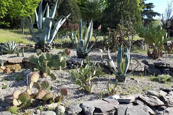 Nezahat Gökyiğit Botanik Bahçesi, Ataşehir Girişi - Resim 5