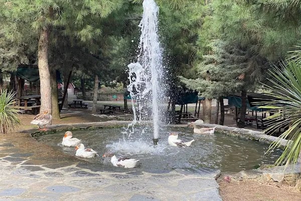 Nezahat Gökyiğit Botanik Bahçesi, Ataşehir Girişi - Resim 7