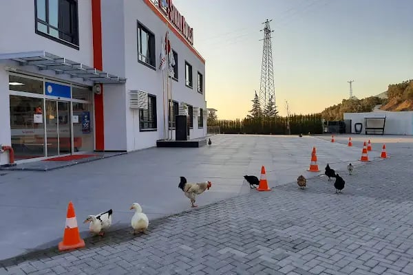 Sınav Koleji Gemlik Kampüsü - Resim 7