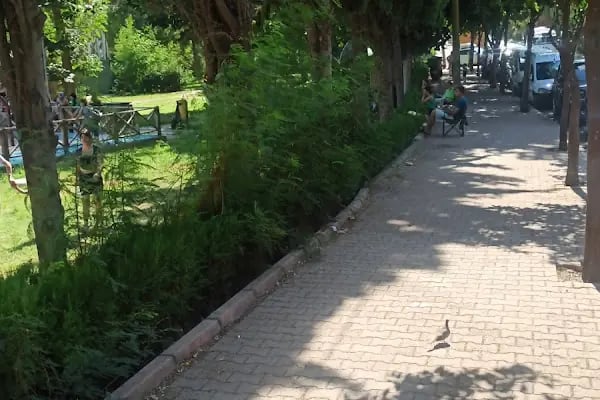 Doğal Park Su Oyunları - Resim 15