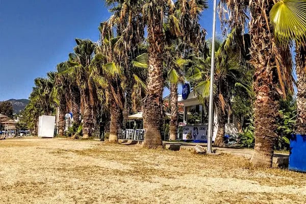 Belediye Plajı - Resim 13