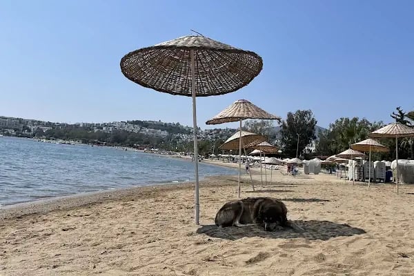 Belediye Plajı - Resim 2