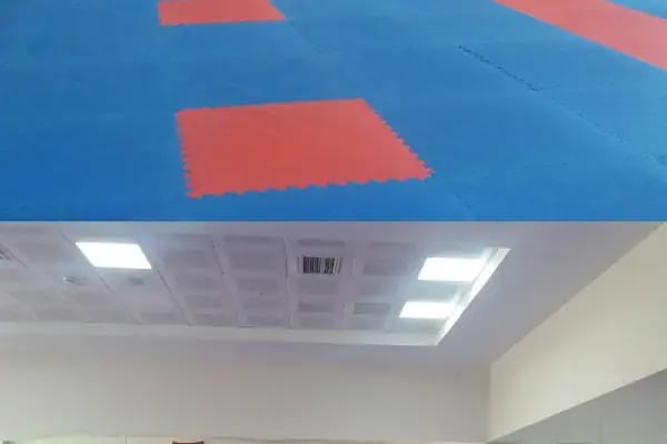 Talat Özkarslı Spor Salonu - Resim 12