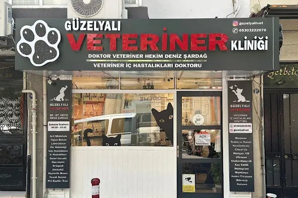 Güzelyalı Veteriner - Resim 8