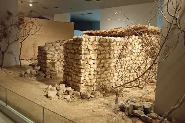 Şanlıurfa Müzesi Neolitik Çağ Salonu - Resim 10