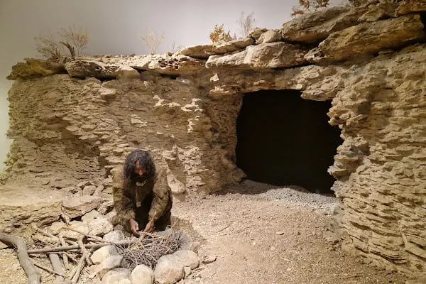 Şanlıurfa Müzesi Neolitik Çağ Salonu - Resim 14