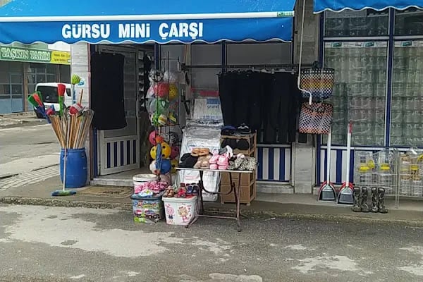 Gürsu Mini Çarşı - Resim 8