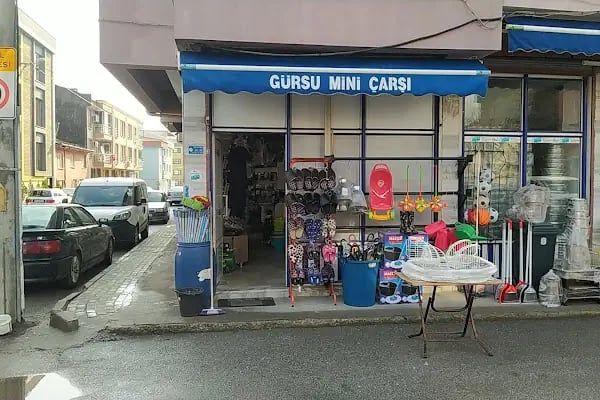 Gürsu Mini Çarşı - Resim 17
