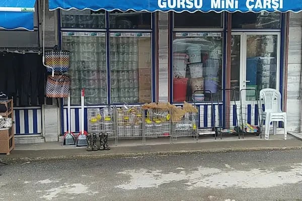 Gürsu Mini Çarşı - Resim 19
