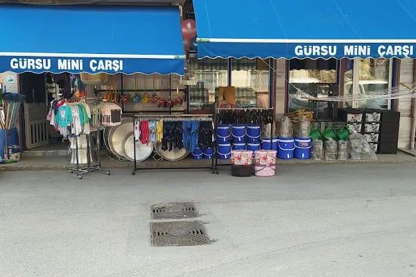 Gürsu Mini Çarşı - Resim 5