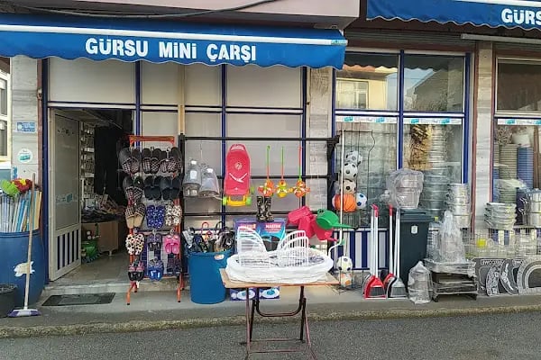 Gürsu Mini Çarşı - Resim 20