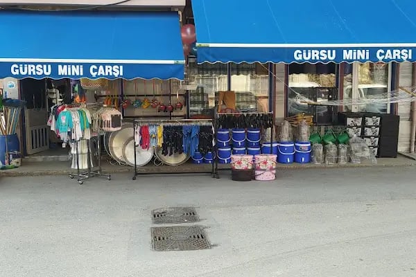 Gürsu Mini Çarşı - Resim 3