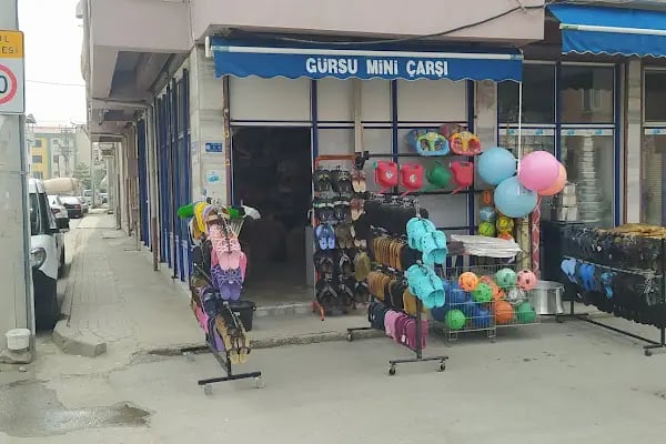 Gürsu Mini Çarşı - Resim 16