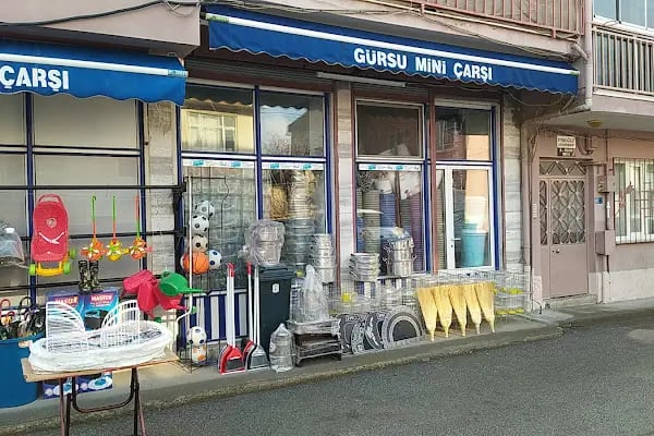 Gürsu Mini Çarşı - Resim 18