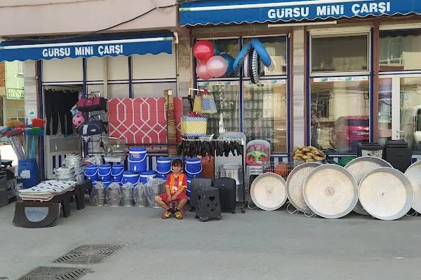 Gürsu Mini Çarşı - Resim 11