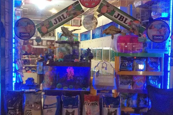 Beren Pet Shop - Resim 18