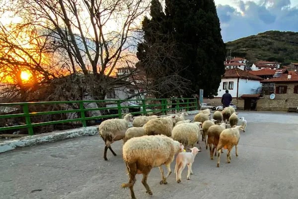 Birgi Doktorun Yeri - Resim 5