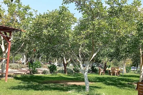 CEVİZLİ BAHÇE RESTAURANT - Resim 10