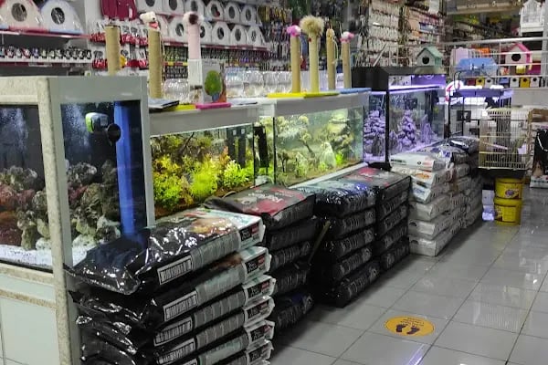 Emeksiz Pet Market/Pet Shop - Resim 8