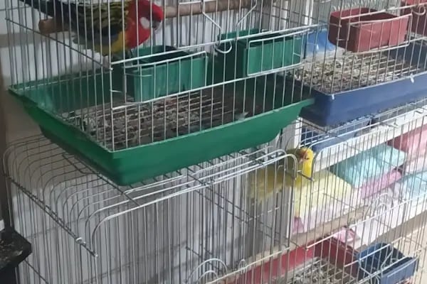 Emeksiz Pet Market/Pet Shop - Resim 15