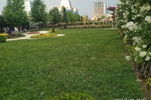 KUĞU GÖLÜ İSTANBUL - Resim 20