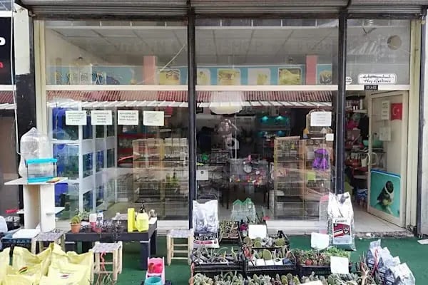 Vizyon Petshop - Resim 3