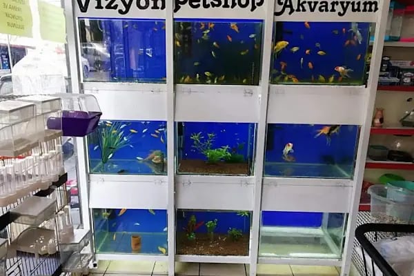 Vizyon Petshop - Resim 2