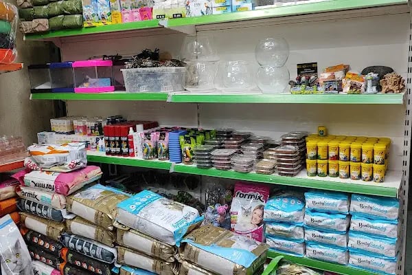 Gazi Oglu Akvaryum Pet Shop - Resim 13