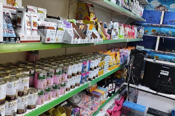 Gazi Oglu Akvaryum Pet Shop - Resim 3